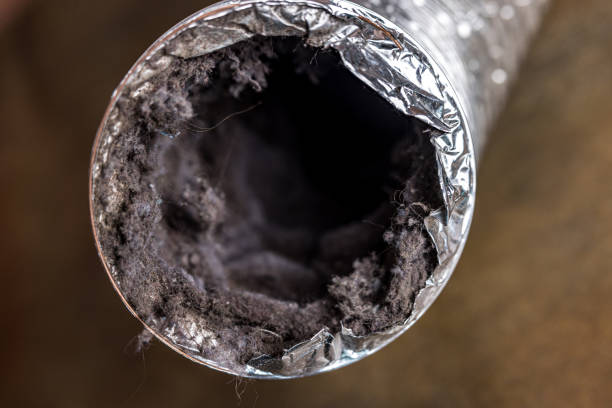Best Affordable HVAC Duct Cleaning  in Tarkio, MO